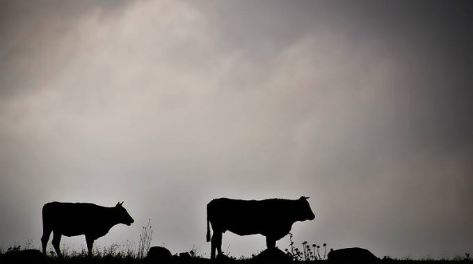 צילום: יהודה וינברג