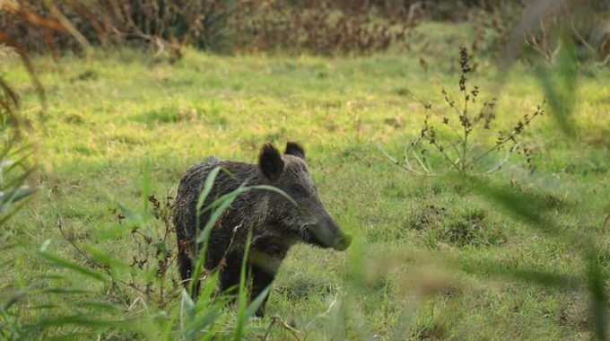 צילום: יהודה וינברג