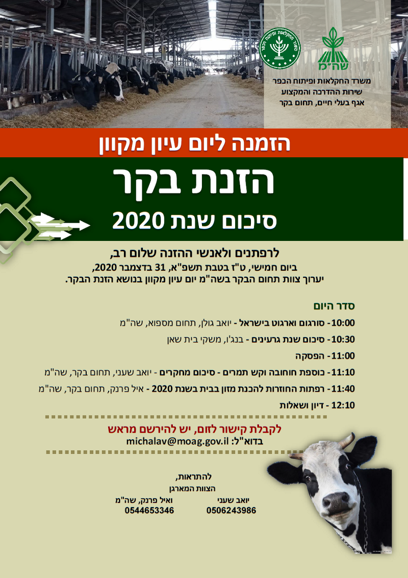 יום עיו הזנת בקר