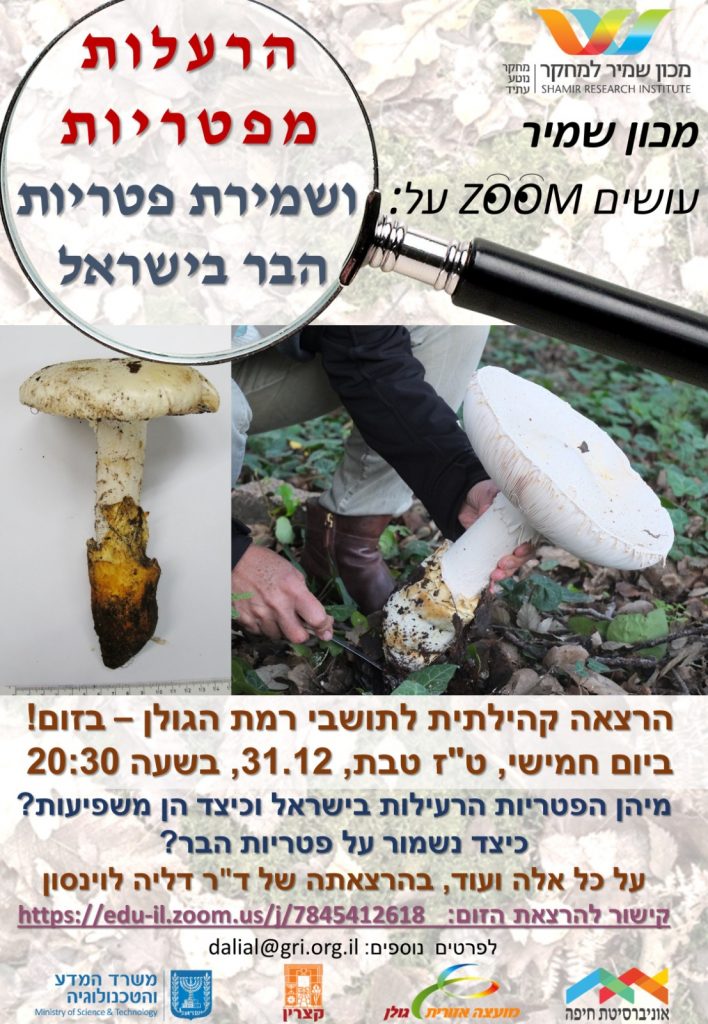 שמירת פטריות הבר בישראל