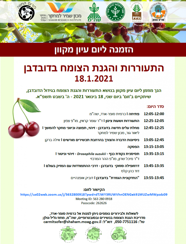 התעוררות והגנת הצומח בדובדבן