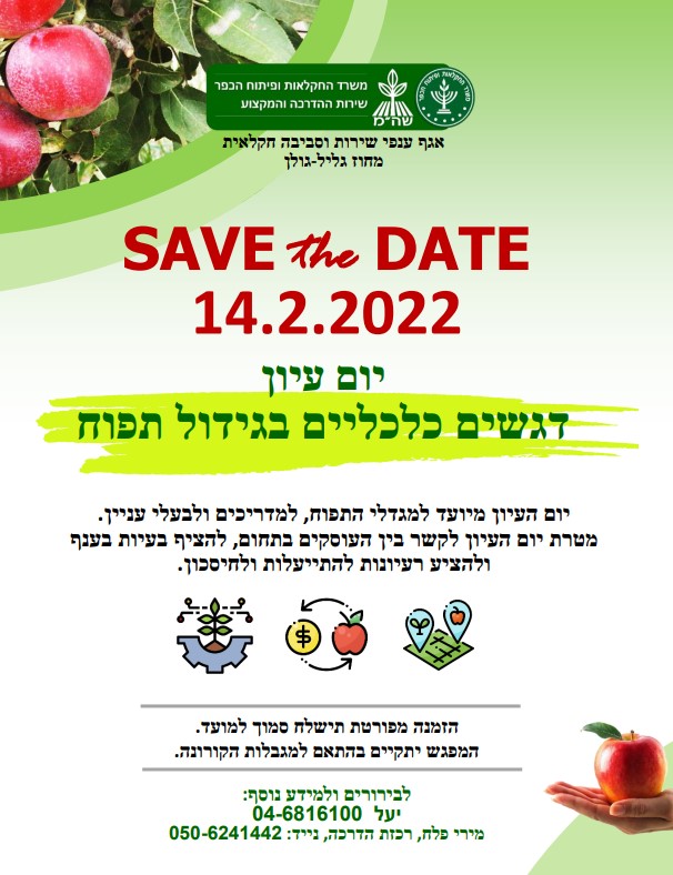 דגשים כלכליים בגידול תפוח